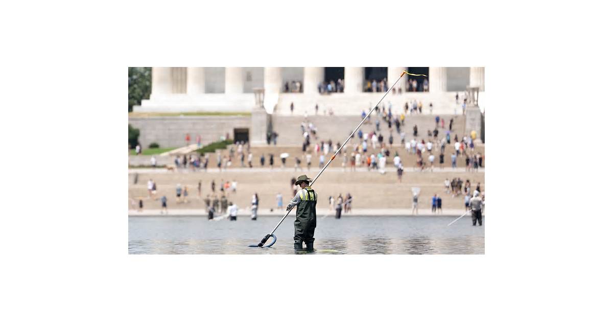 Olympian cleared in vandalism case seeks watchdog probes of Trump's Reflecting Pool project