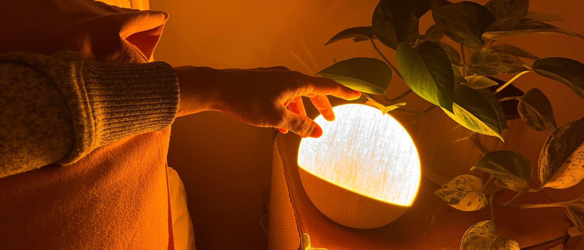 I'm testing the Dreamegg Sunrise 2 and it's easy to see why this budget body clock is an Amazon best-seller