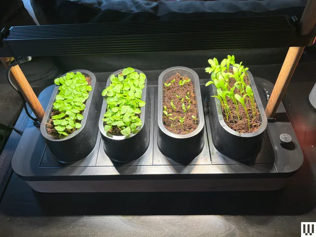The Auk Mini Indoor Garden Is on Clearance for $199—Its Lowest Price Ever