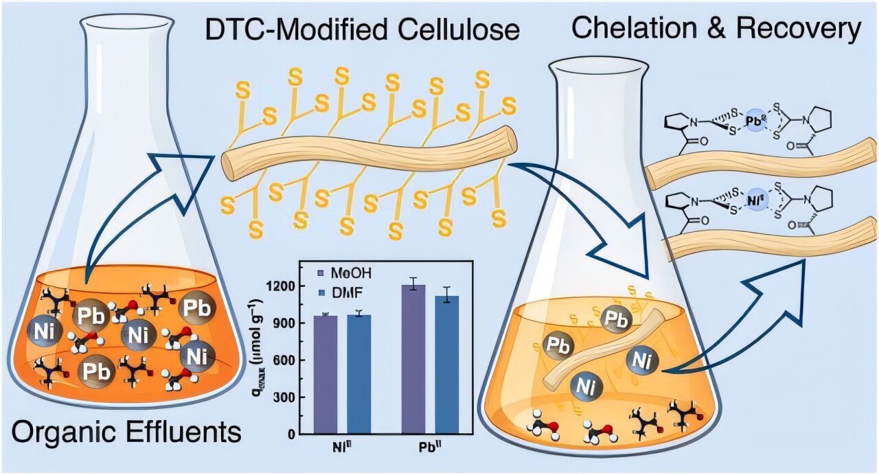 Modified cellulose removes over 99% of lead from methanol-based solar cell recycling waste