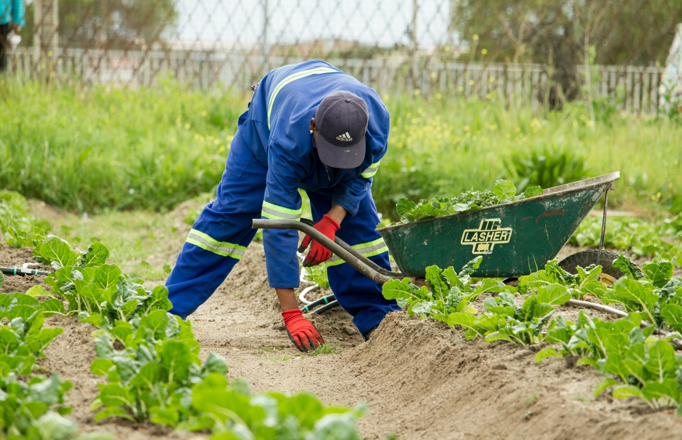 Physically intense work and health: A new index to assess the burden of job tasks