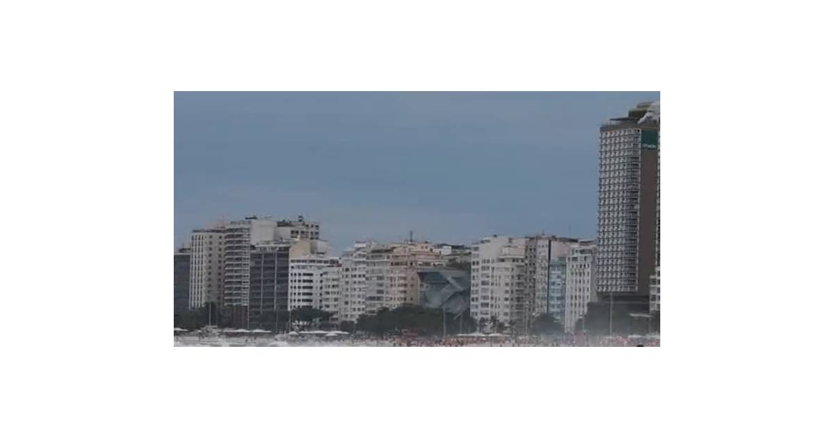 Elephant seal makes second beach appearance in Rio