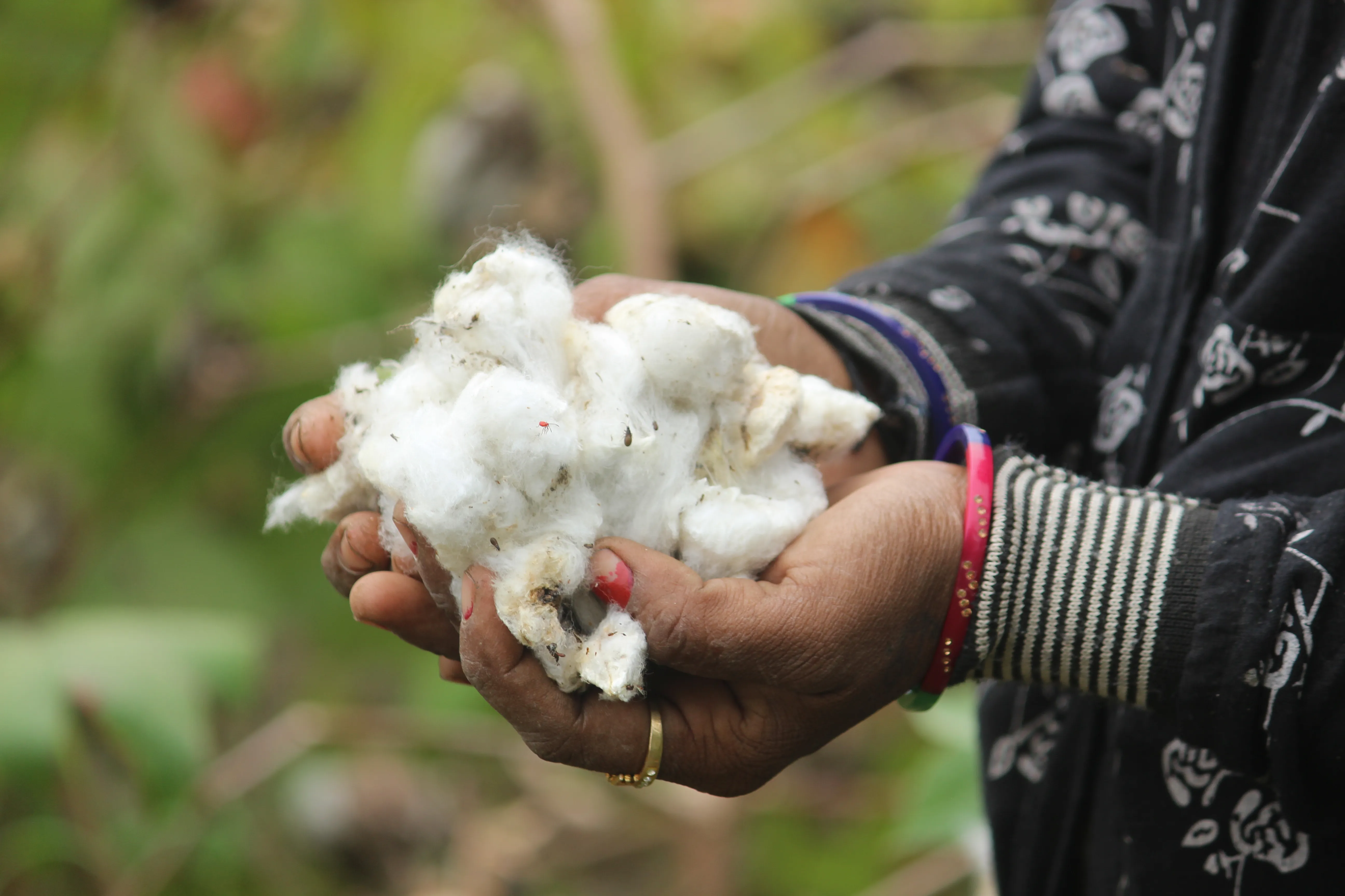 How Climate Resilience and Measurable Impact Are Reshaping the Global Cotton Value Chain