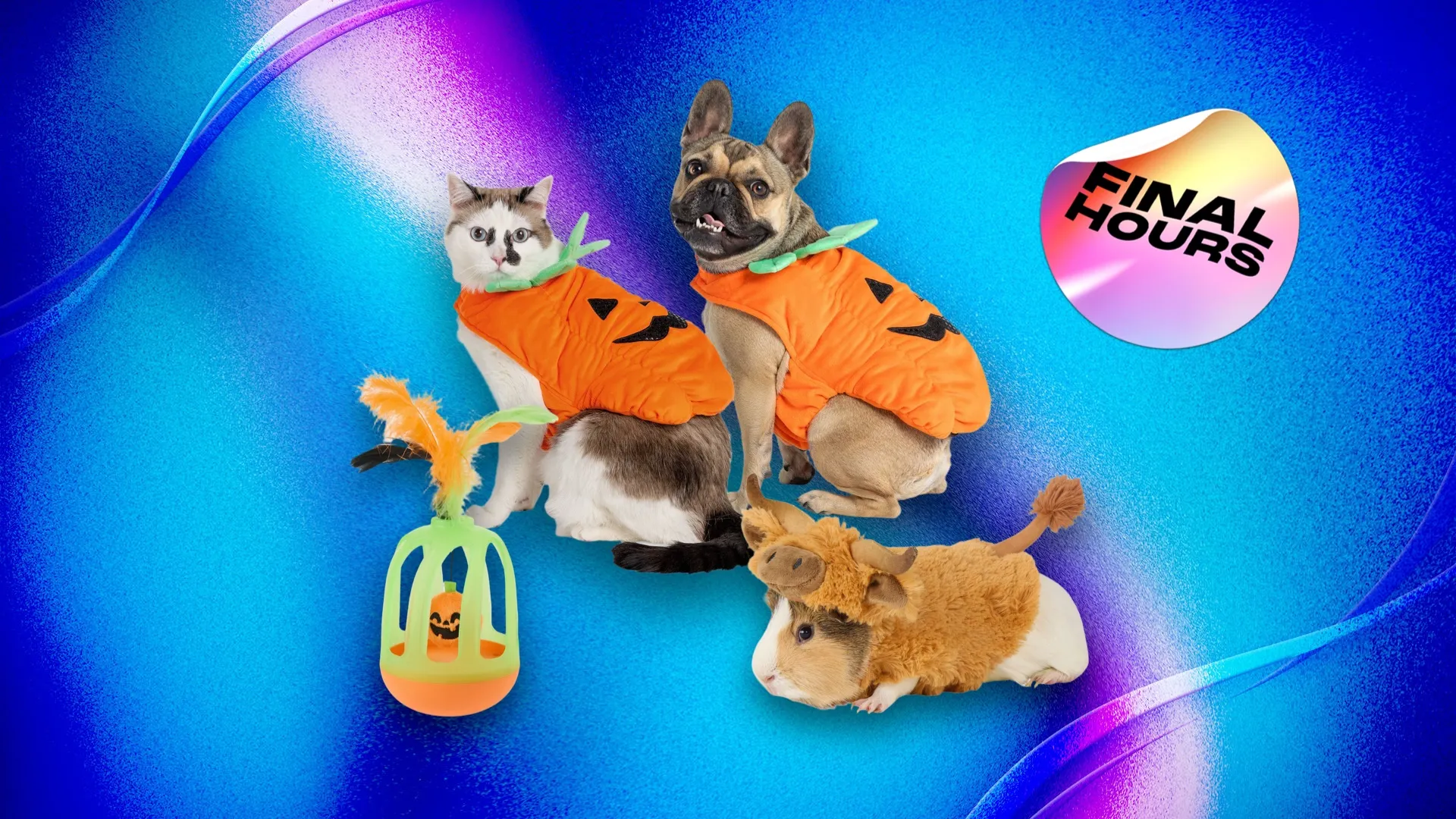 Your Pet Wants to Be a Pumpkin for Halloween and PetSmart Is 20% Off for Today Only