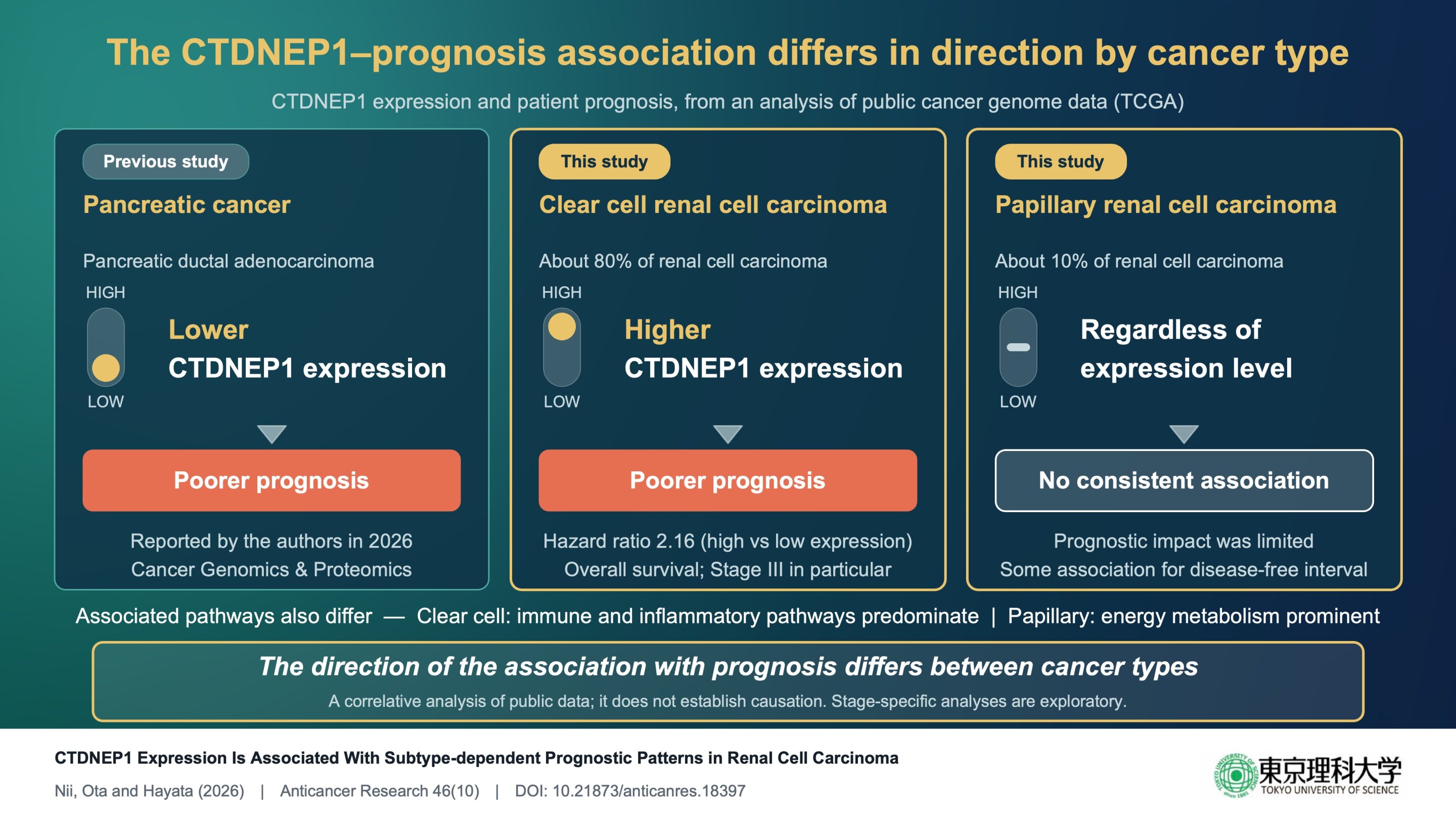 Gene expression linked to survival differs by kidney cancer subtype