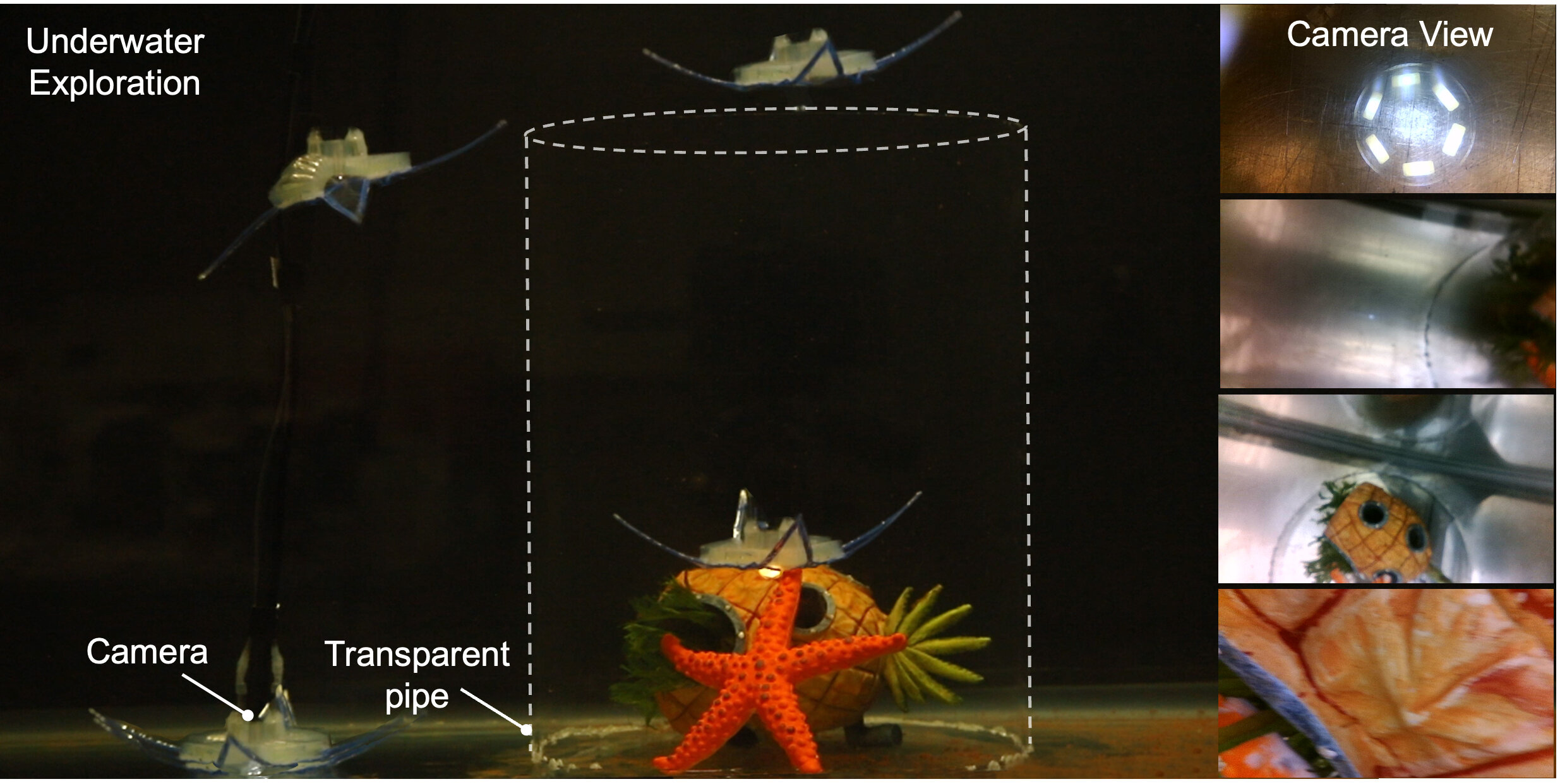 Feather star-inspired underwater robot gets 3D maneuverability from only two actuators