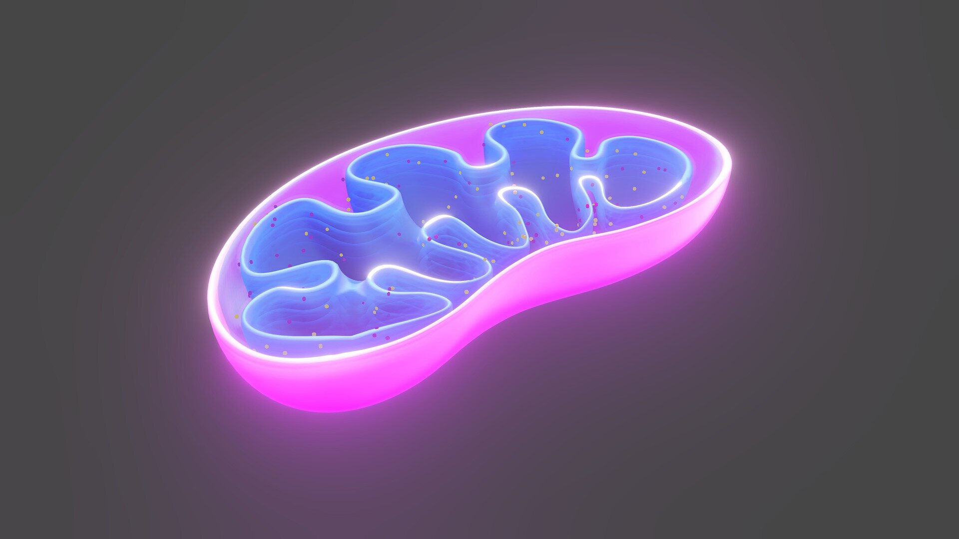 First single-cell DNA analysis reveals mitochondrial damage in vulnerable Parkinson's brainstem neurons