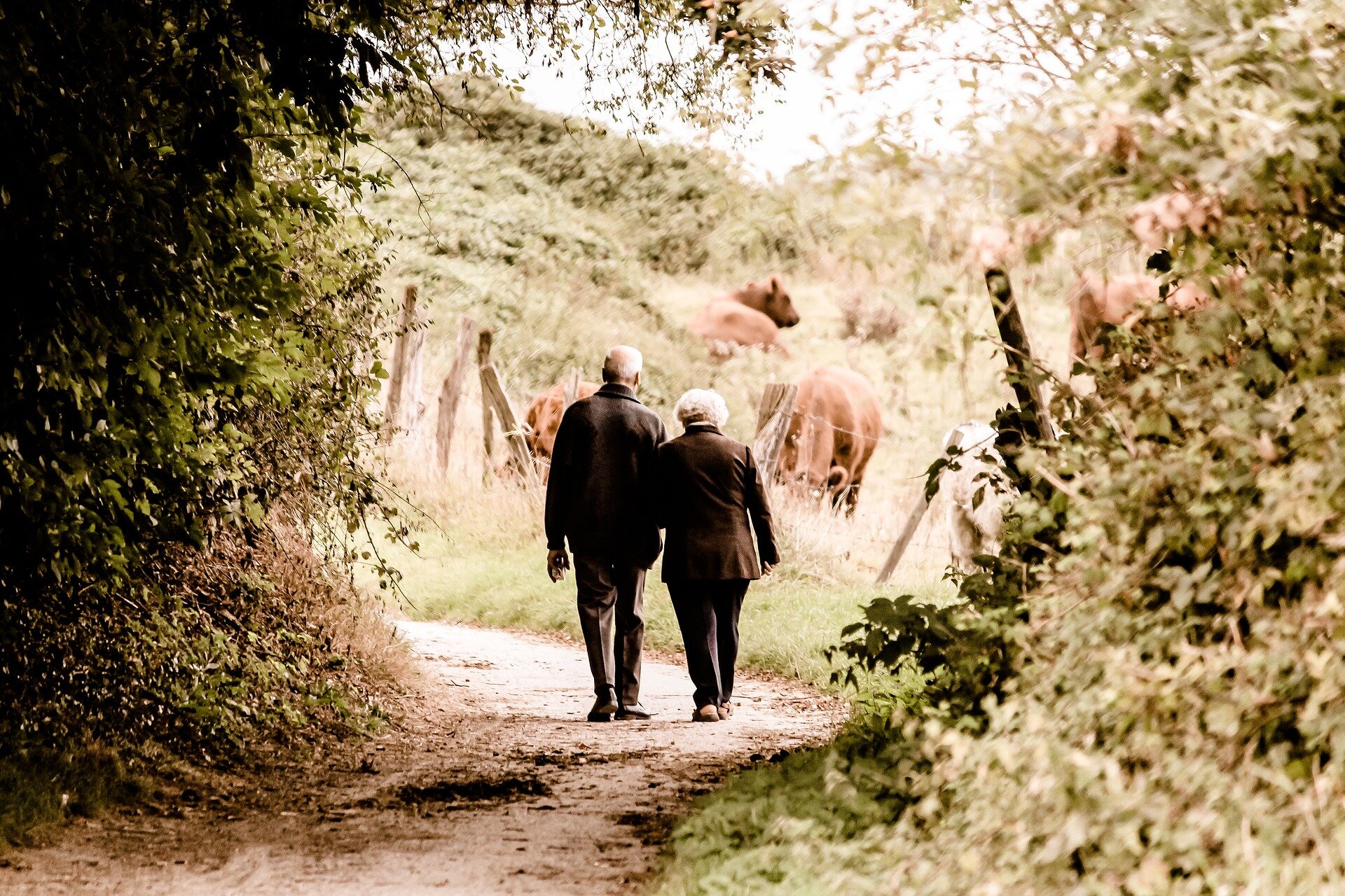 Greater physical activity associated with slower progression in Parkinson's
