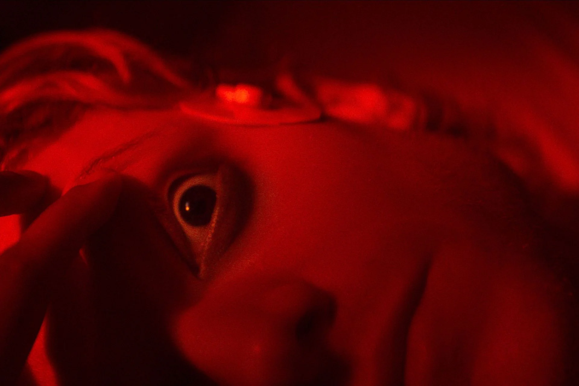 A New ‘Clayface’ Teaser Leans Heavy on the Horror