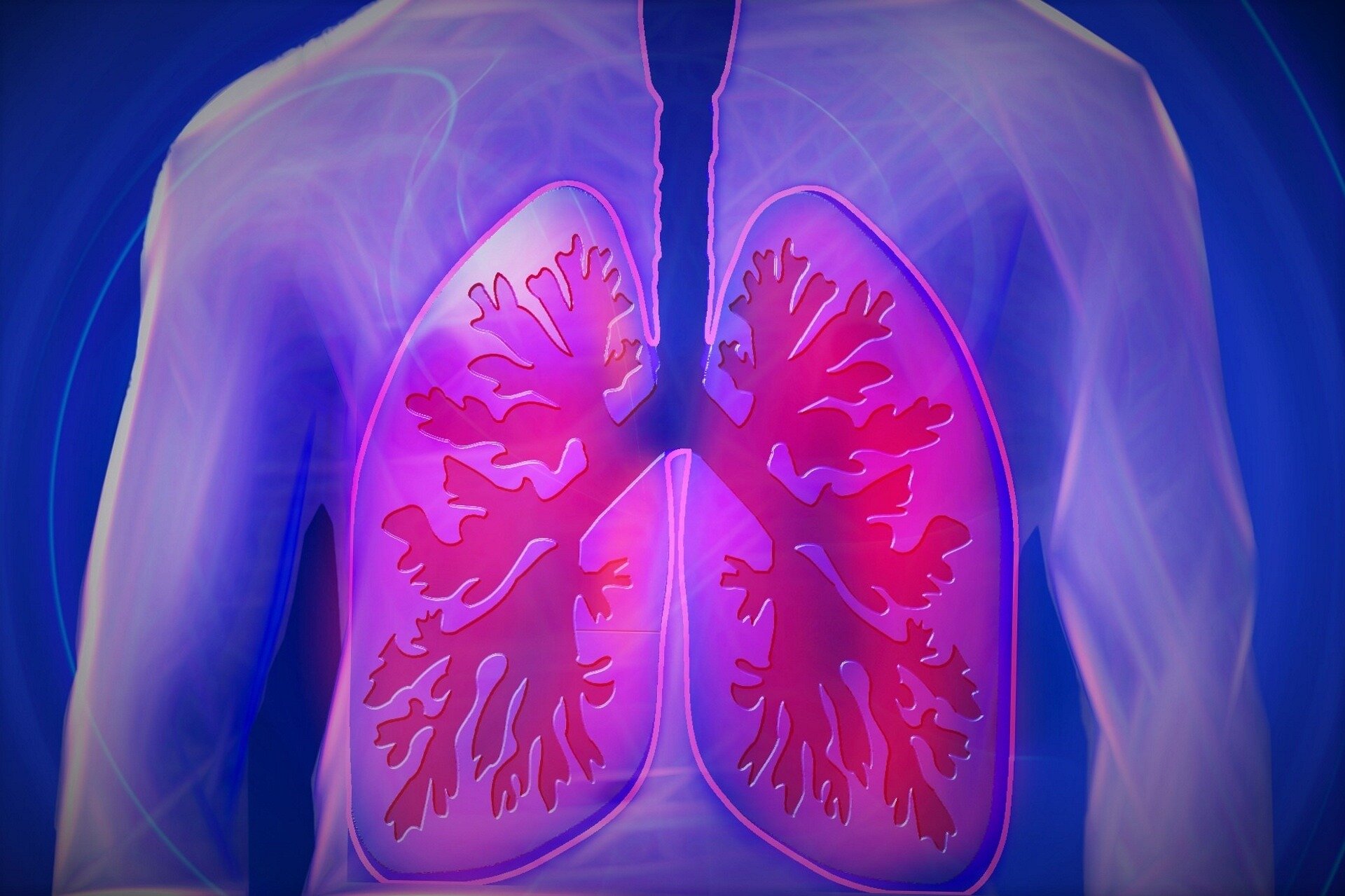 Common airway bacterium may help prepare lungs to fight pneumonia