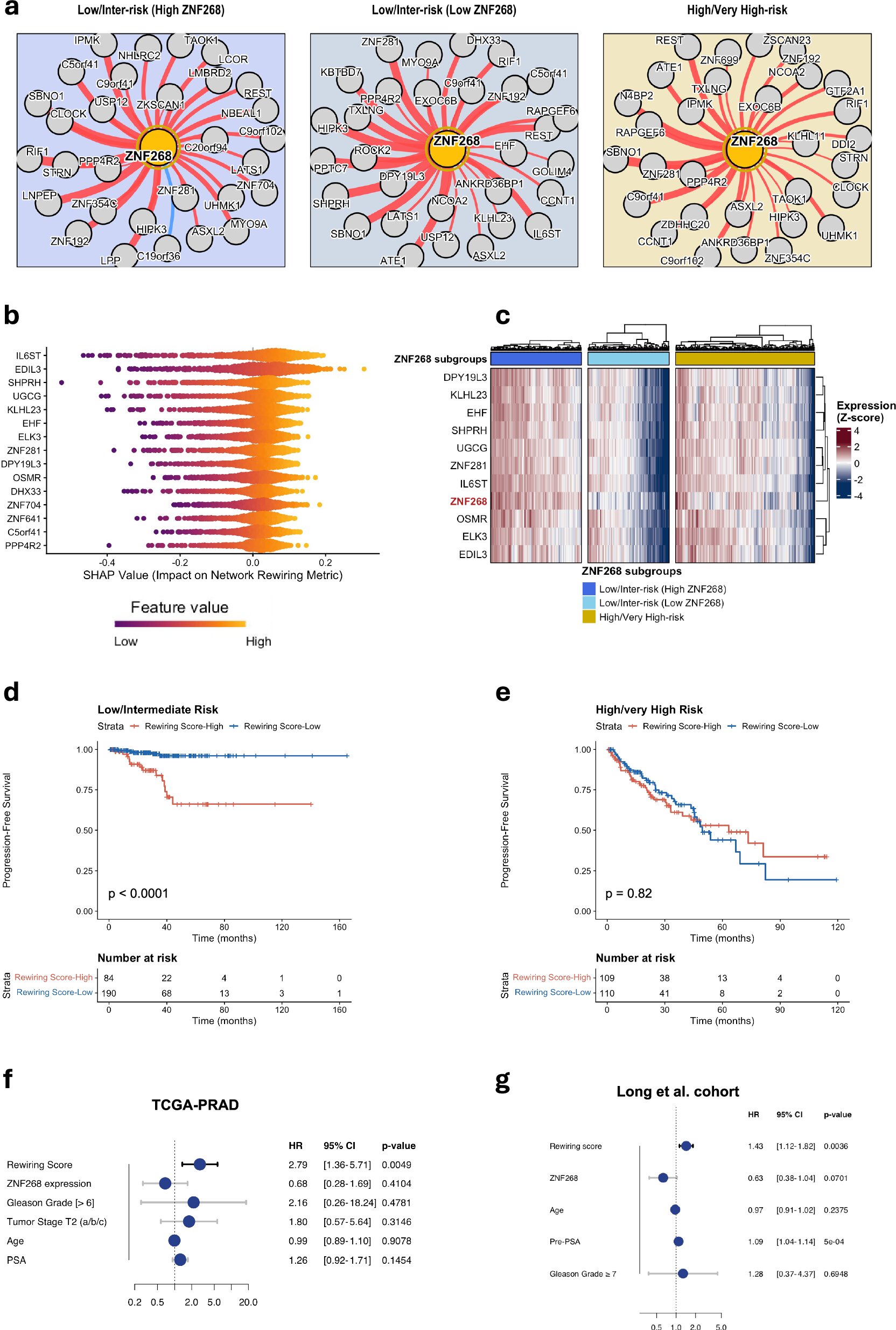 Low-risk prostate tumors reveal molecular signs linked to more aggressive cancer