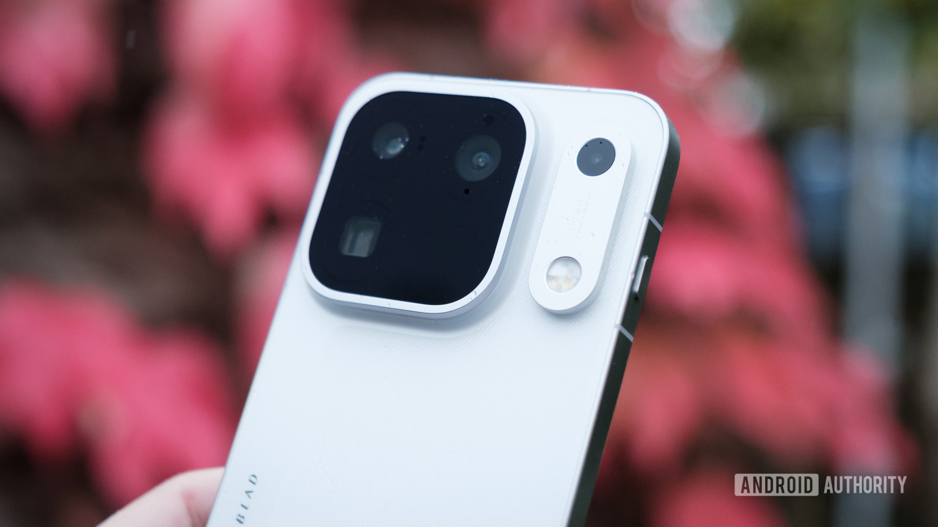 First look: This Pro Max Android phone is everything the iPhone isn’t