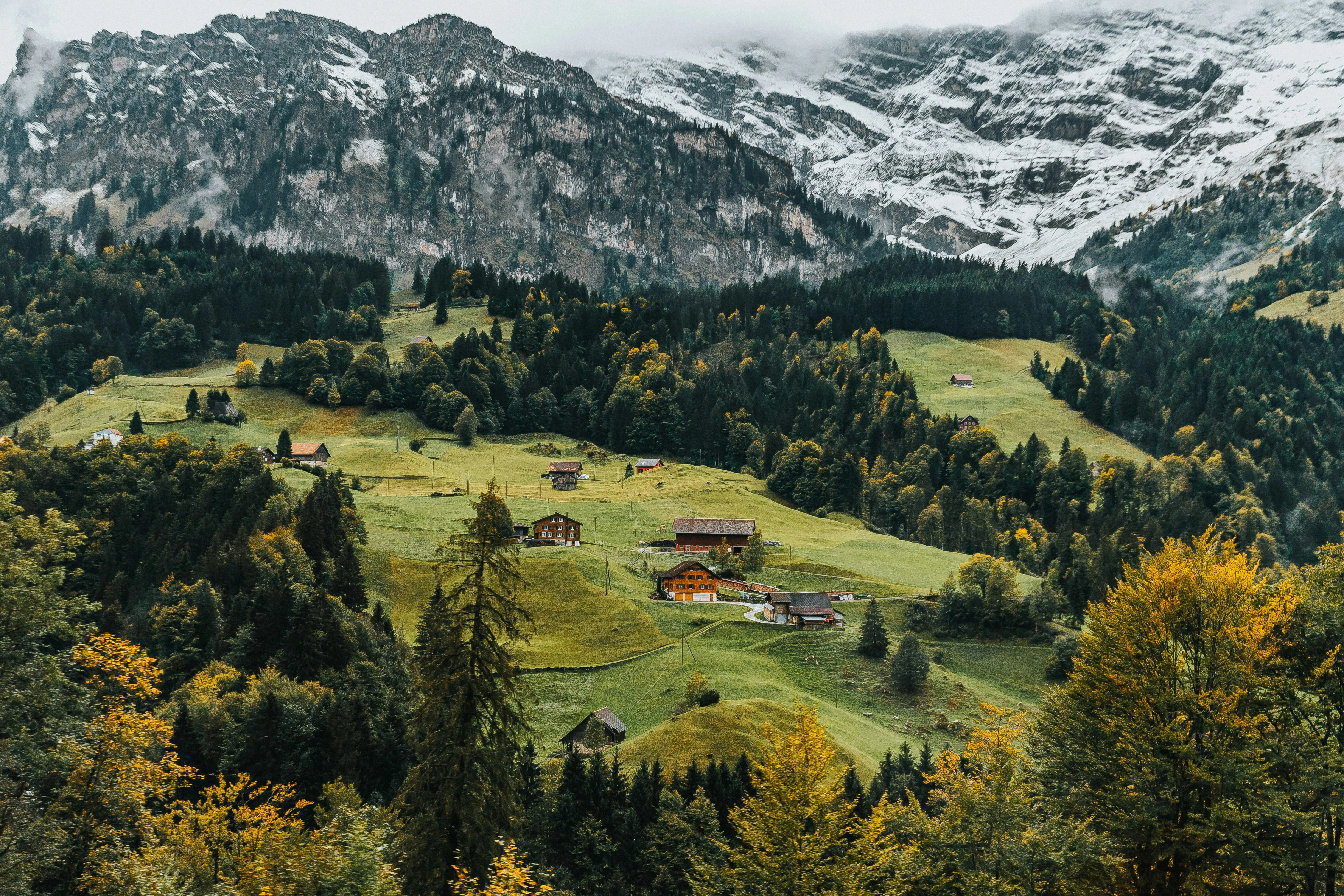 Swiss Biomethane Tender Highlights European Shift Toward Biogenic Carbon Capture