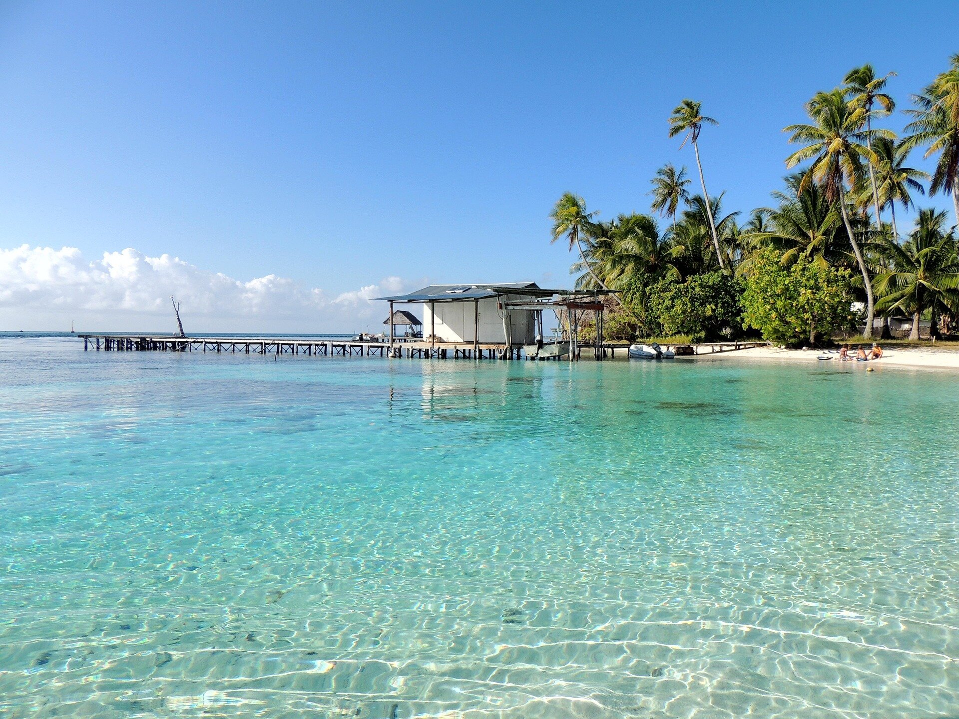 Polynesian wayfinding is written in the genomes of island populations