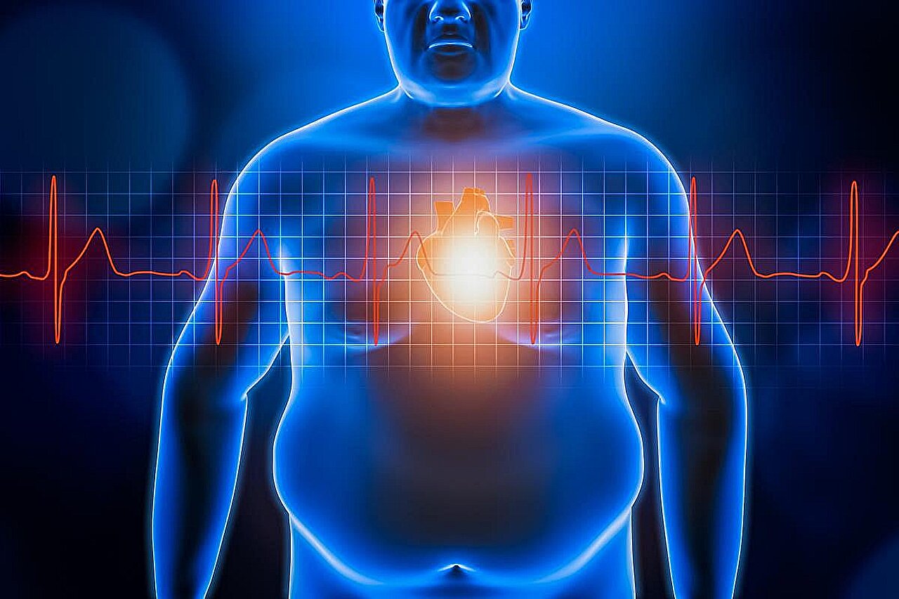Understanding adult obesity