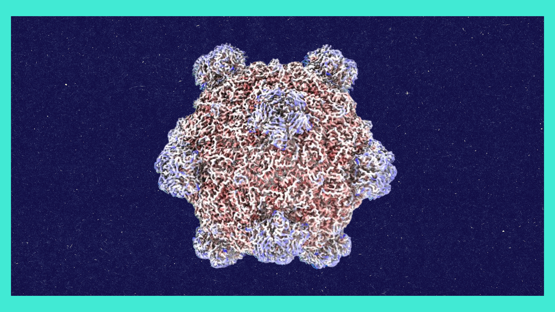 Roundtables: A Conversation With the Creator of AI-Designed Viruses