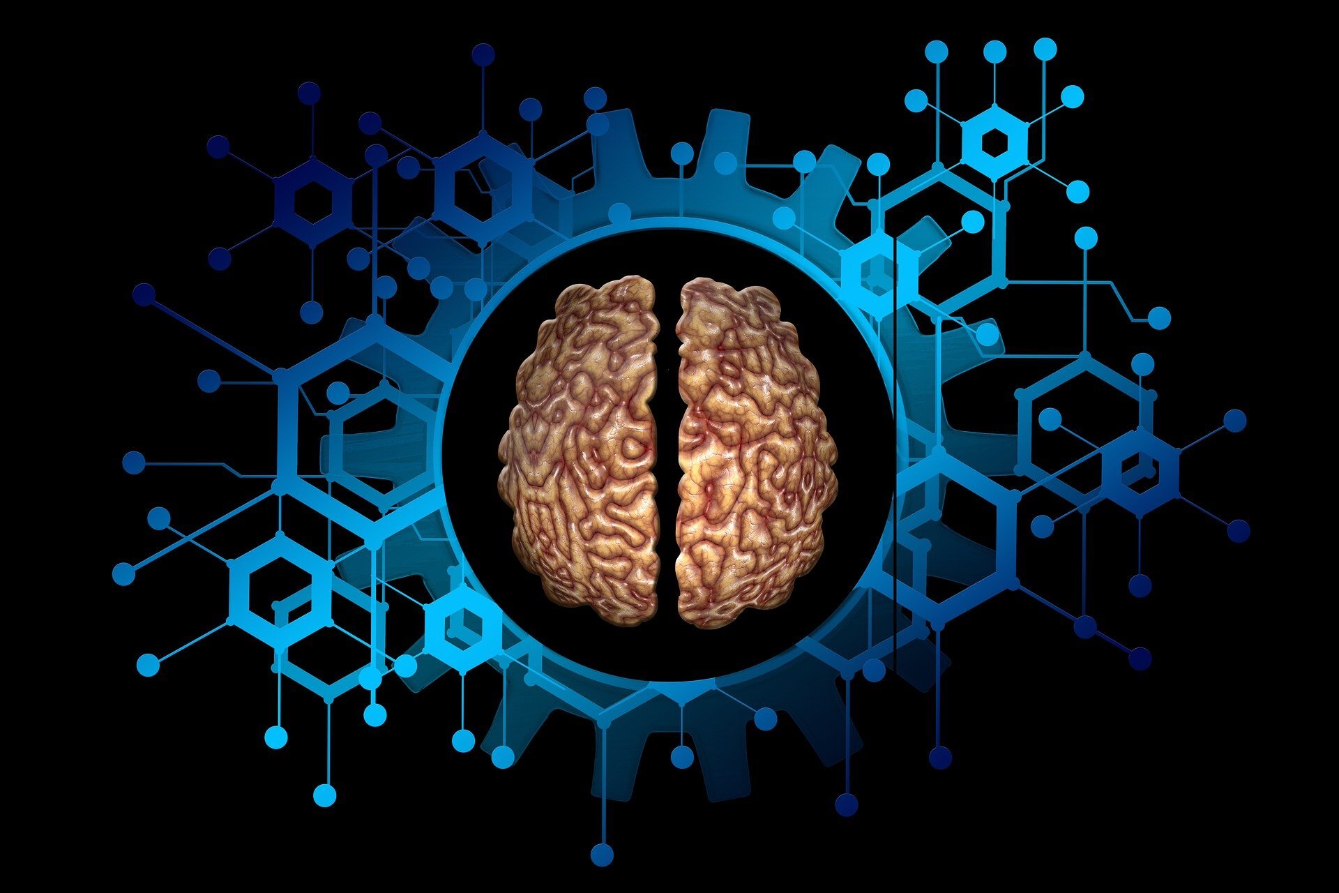 Video games in MRI scanners aim to map brains as they predict and adapt