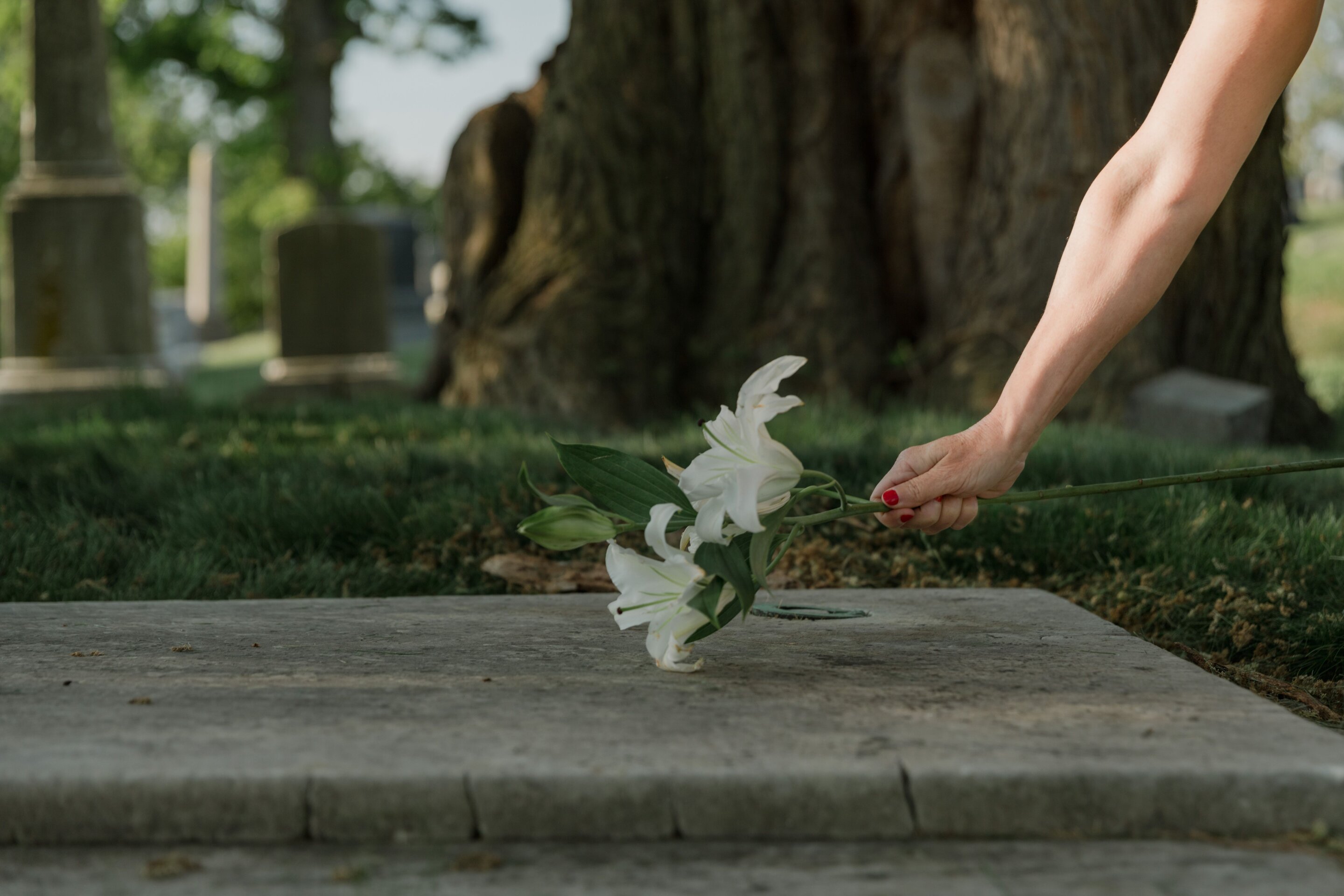 Hidden violence: Family members as the main victims of homicides linked to mental disorders