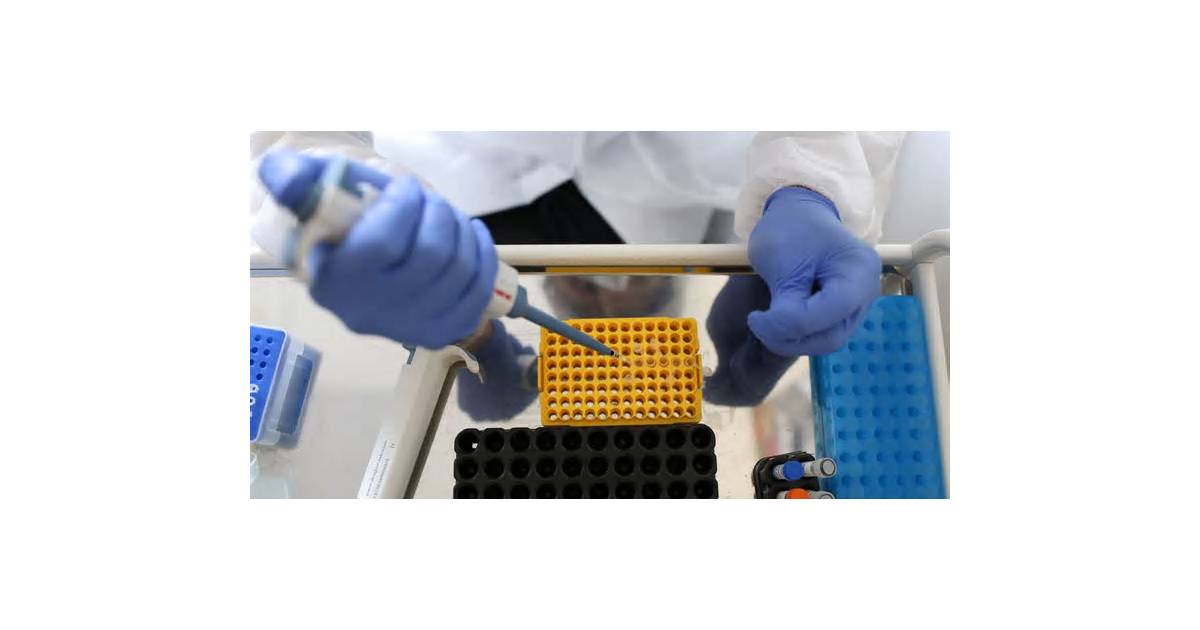 Russia Finds No Plague or Other Pathogens in Siberia Lab Death