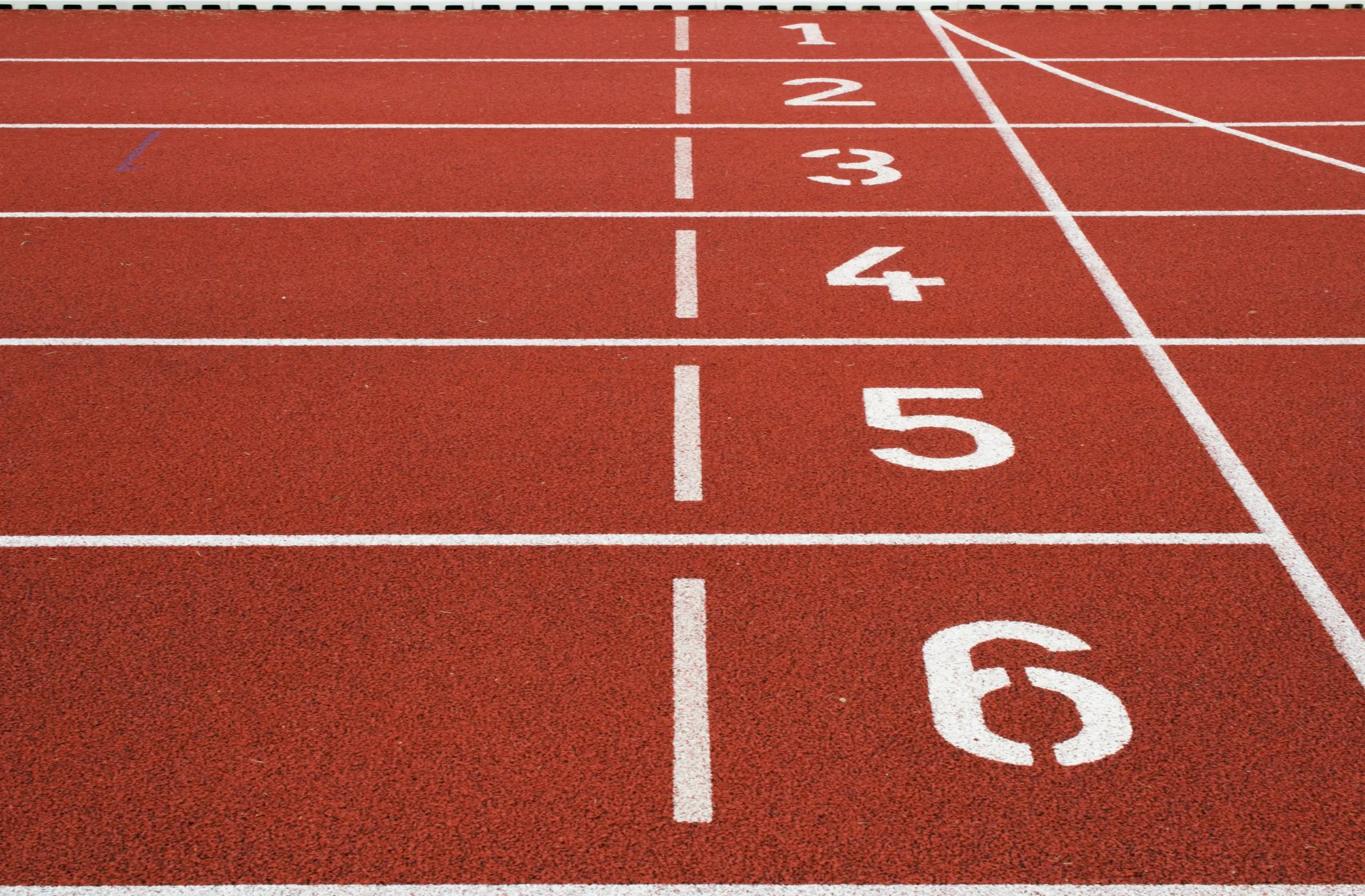 What separates the winners from the losers in the AI race?