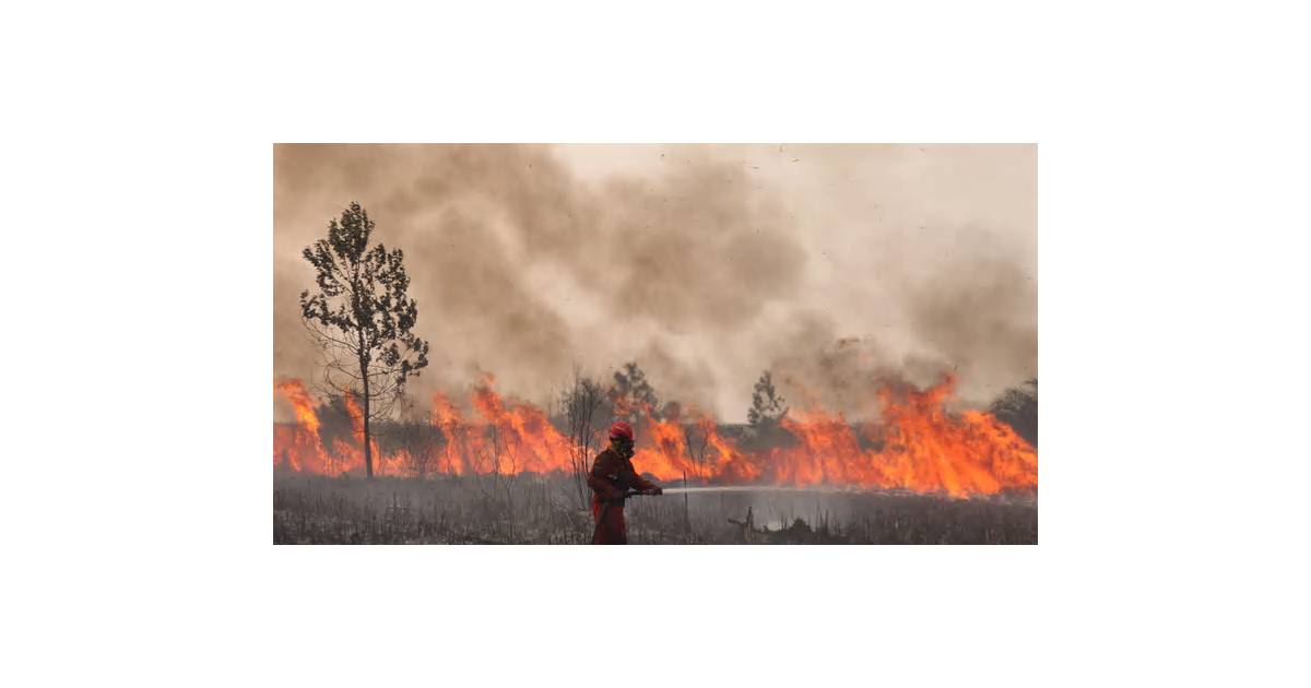 Why Southeast Asia’s Haze Crisis Is So Bad This Year