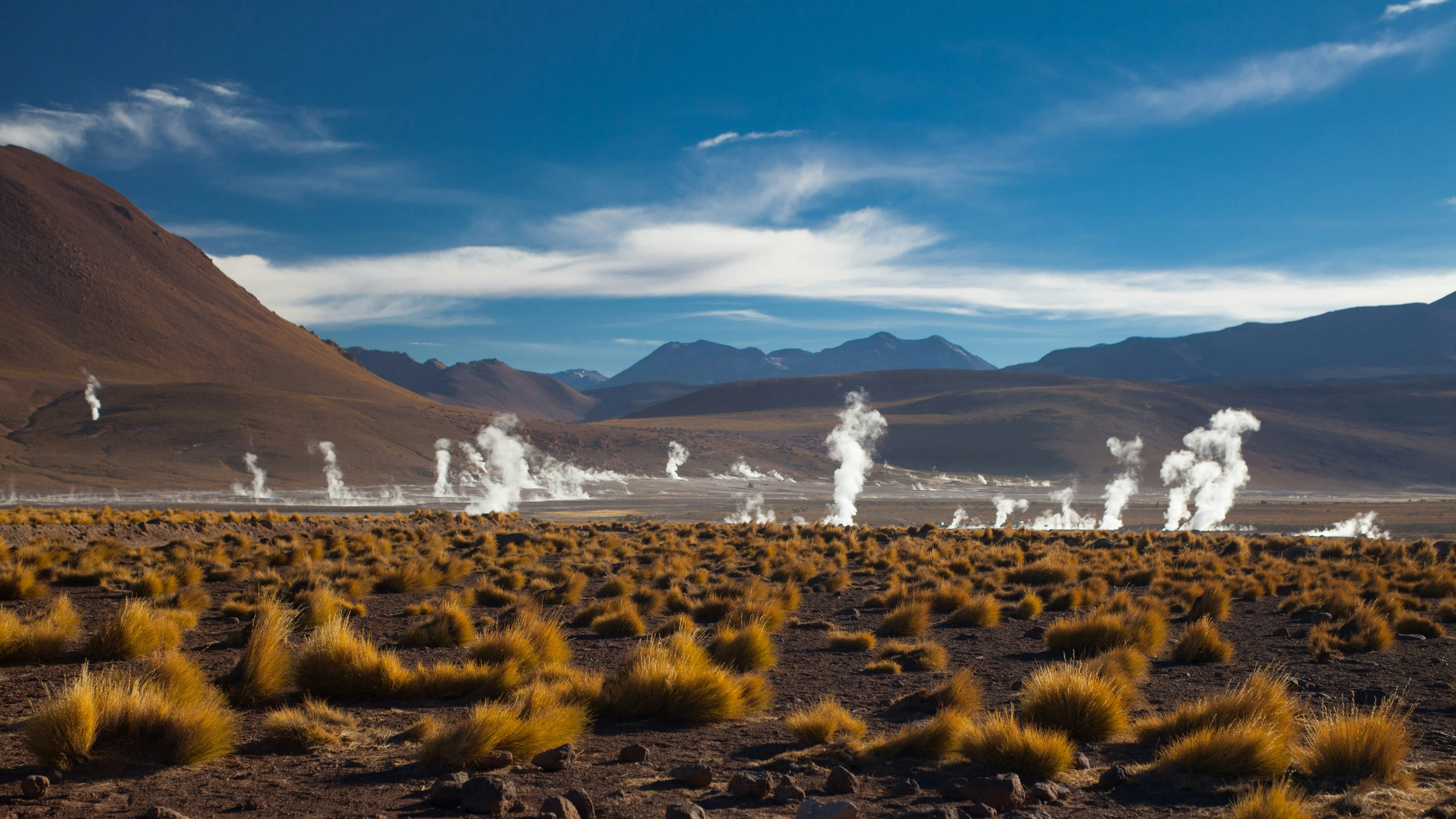 Chile Unlocks Global Carbon Credits For Local Tax Relief, Clears Pipeline For Japanese Deals