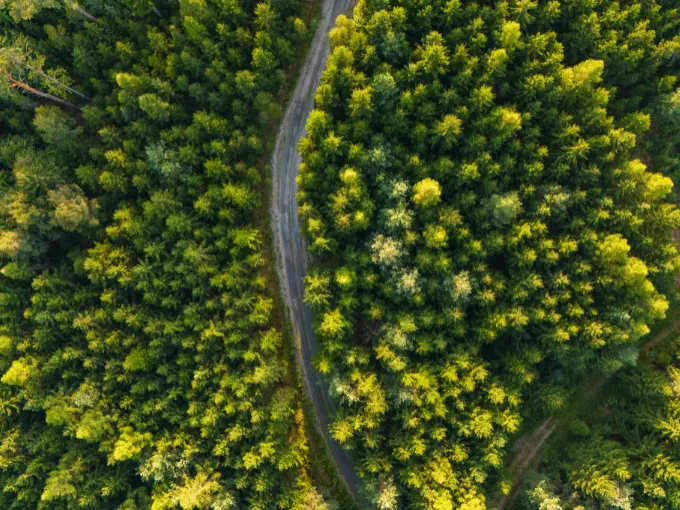 Microsoft And Relae Release New Framework For High-Quality Improved Forest Management