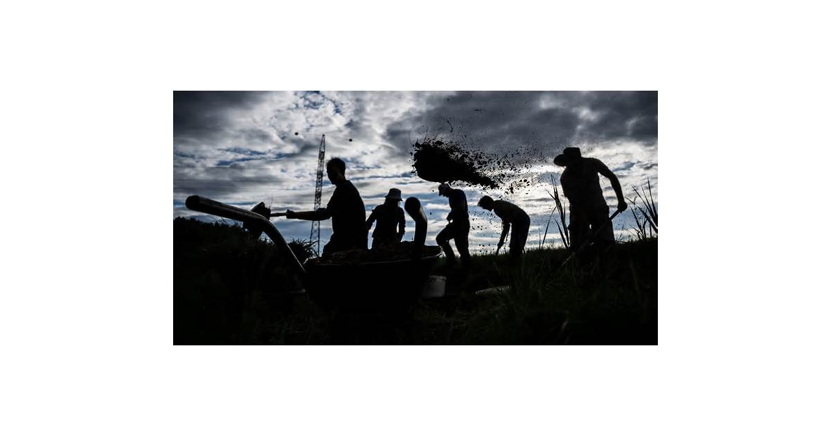 In parched Hungary, volunteers build their own dams to hold onto vanishing water