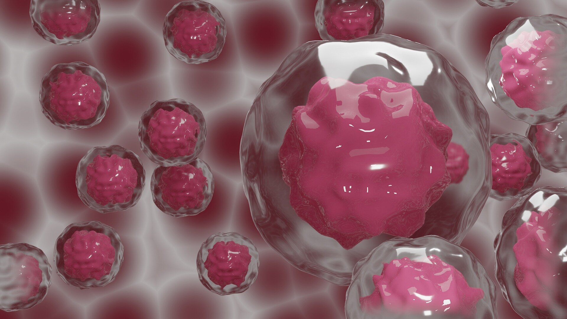 Alternative signaling pathway improves transplantation of blood stem cells
