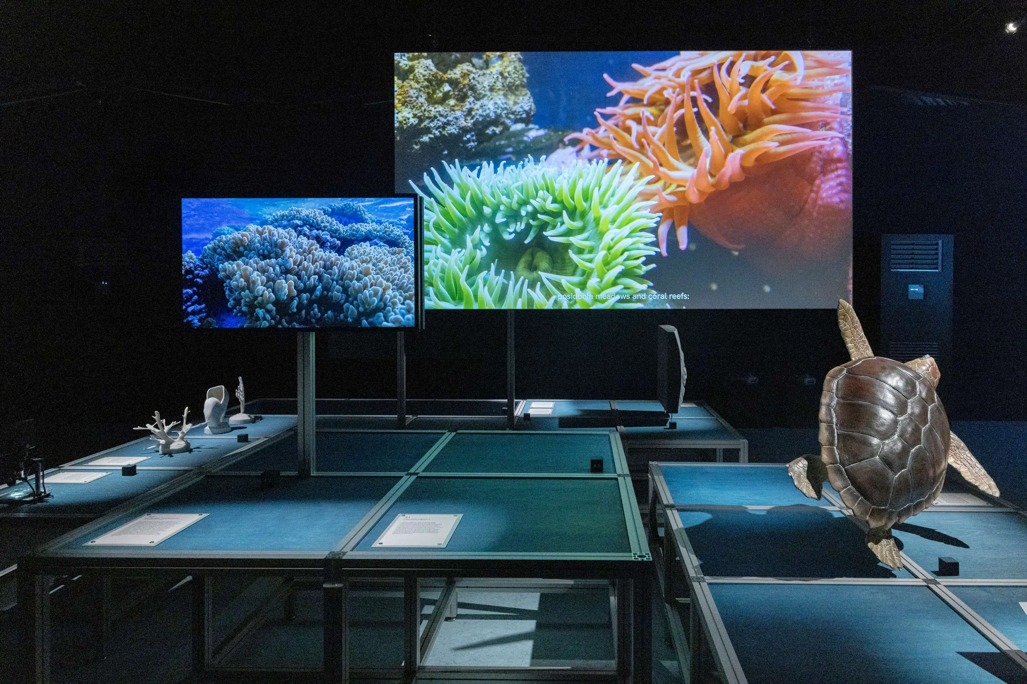 Prada Group and UNESCO-IOC ‘Sea Beyond’ Project Bows Exhibit at Luna Rossa Base