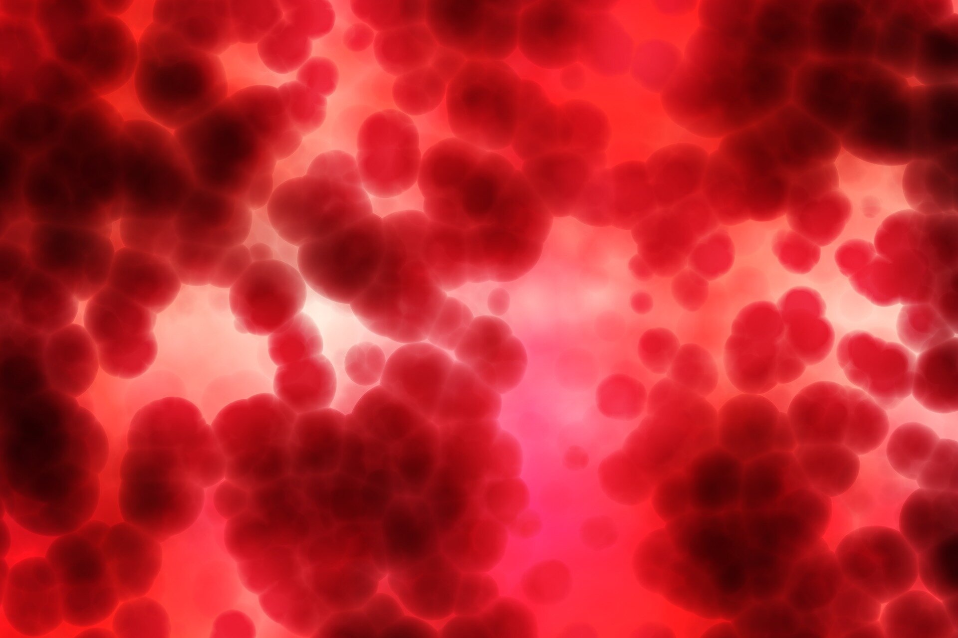 Blood cancer study links blood formation and bone health