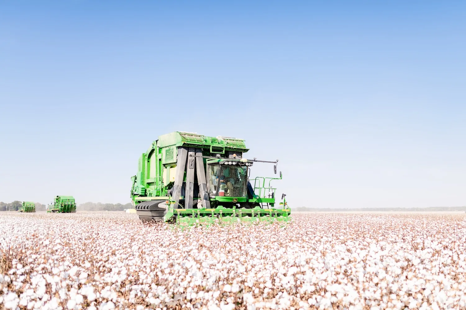 When Sustainability Matters, This Is What Farmers Bring to Fashion’s Table