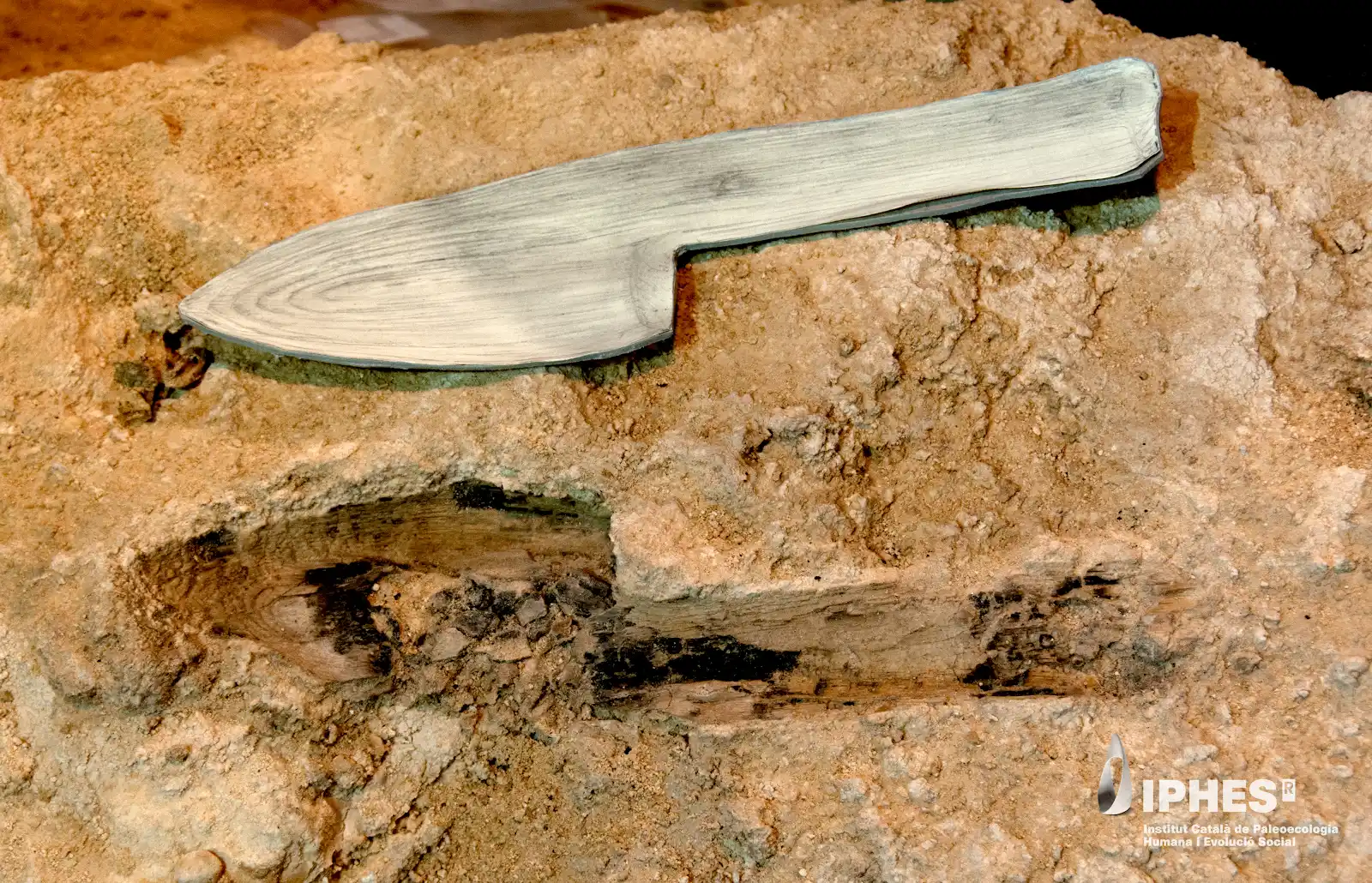 Neanderthal wooden tools from Spain found preserved in stone