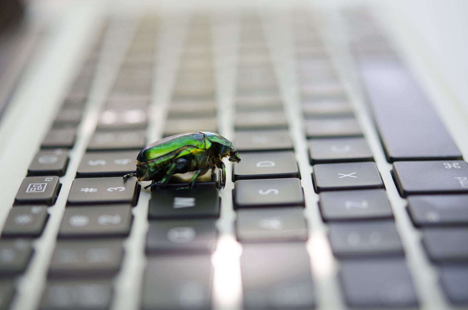 XRP Ledger patched decade-old bug that could create billions of dollars in XRP from nothing