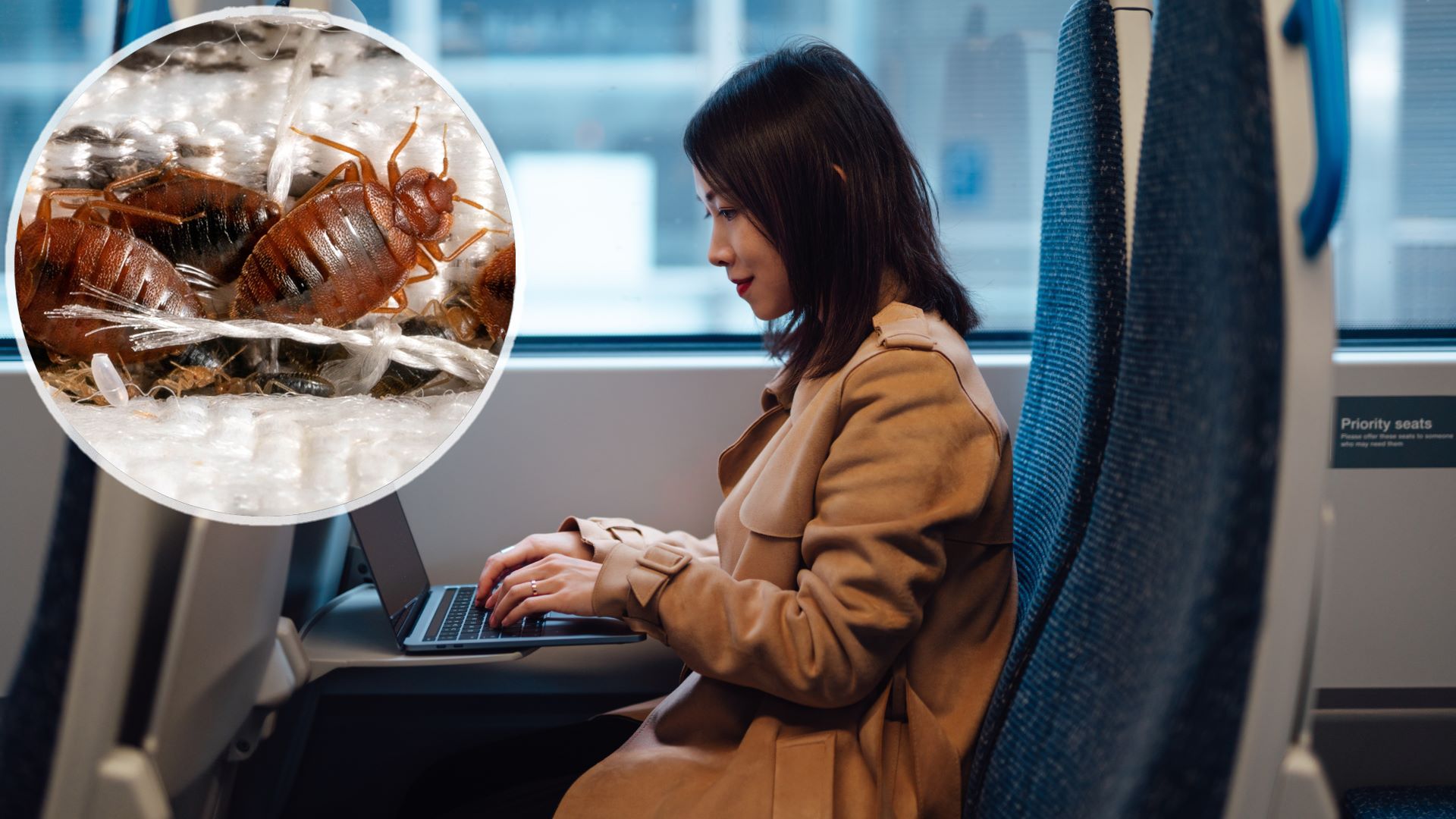 Bed bugs are spreading to trains, cabs and restrooms — how to protect your mattress