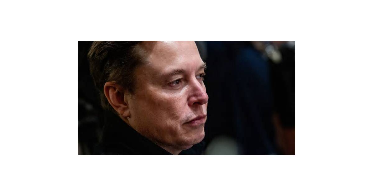 Musk Says Terrafab Plant Will ‘Make Chips Better Than Anyone’