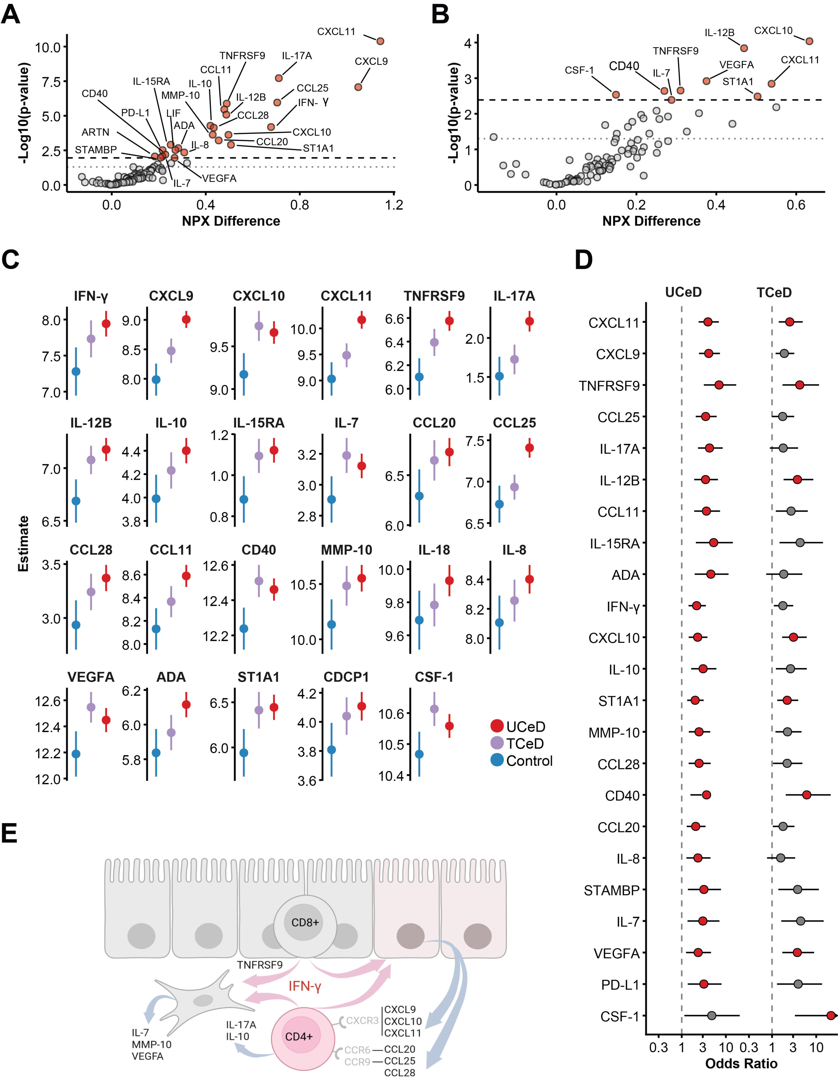 Blood proteins may offer new clues to gut health in celiac disease