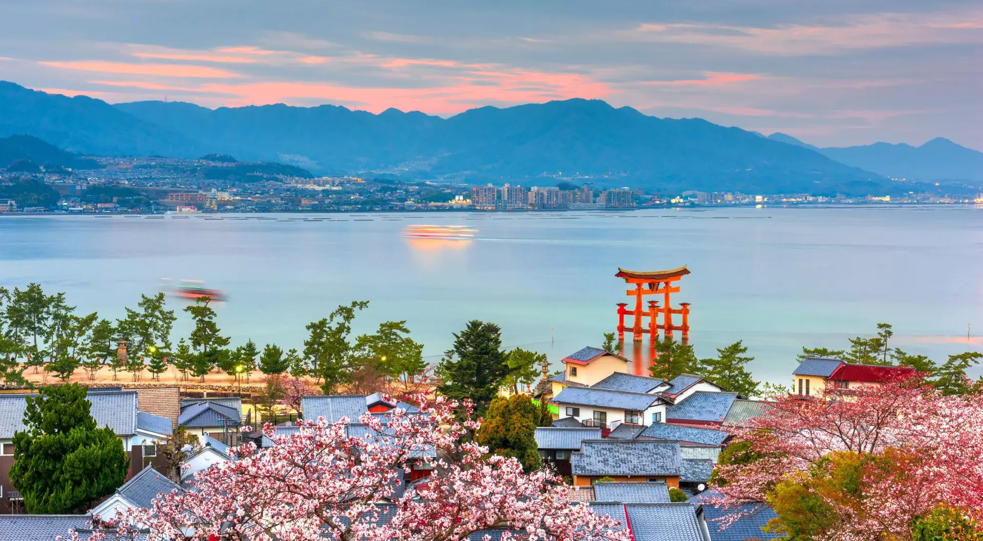 Vietnam Opens First Copyright Infringement Case over Japanese Media