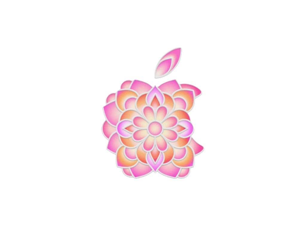 Apple announces festive offers in India: Check deals on iPhones, Macs, more