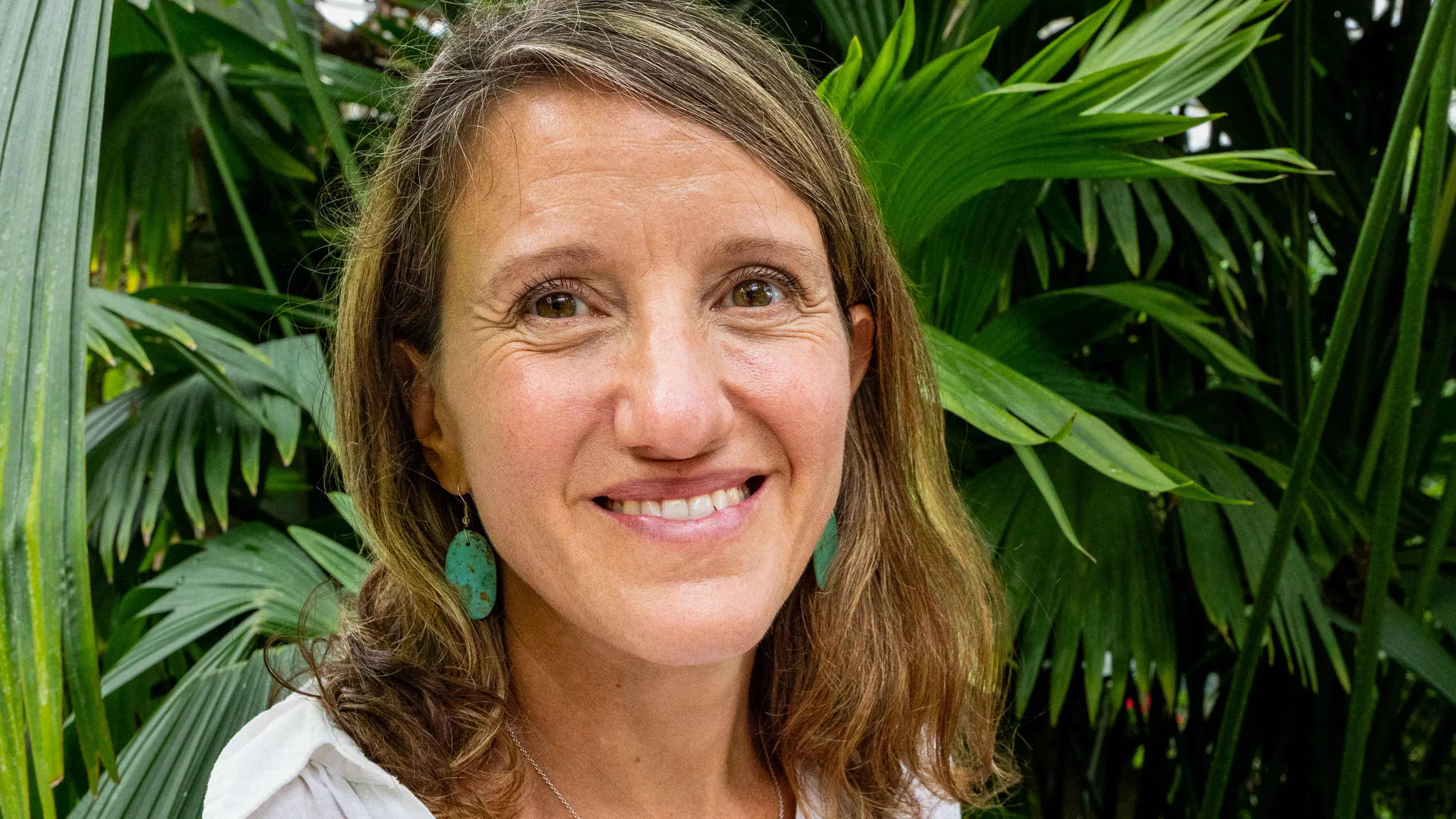 The ecologist revealing the invisible networks that revive rainforests