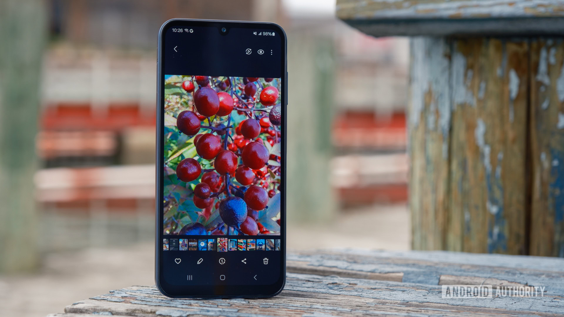 Survey shows Samsung Gallery’s former backup buddy was more popular than you might think
