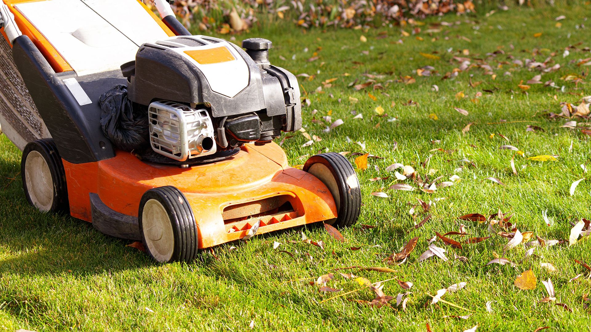 The fall mowing mistake you might be making right now — and what’s right for your lawn