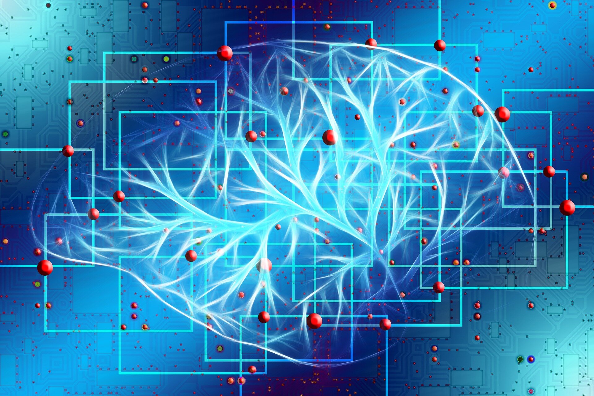 Researchers identify specific brain circuits associated with anxiety in adolescents