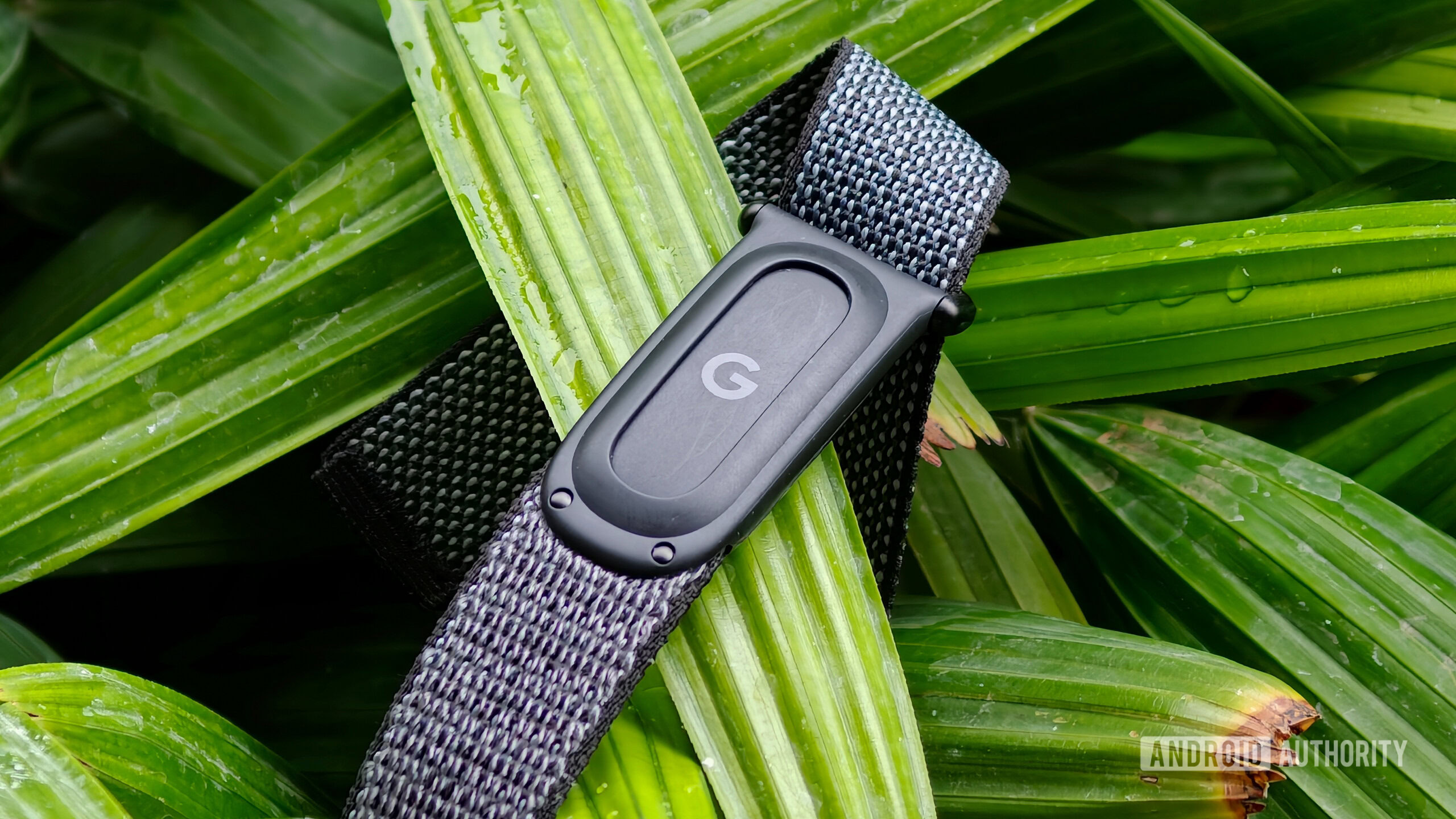 Your Fitbit Air is getting a whole lot better at being able to recognize all your exercise activity