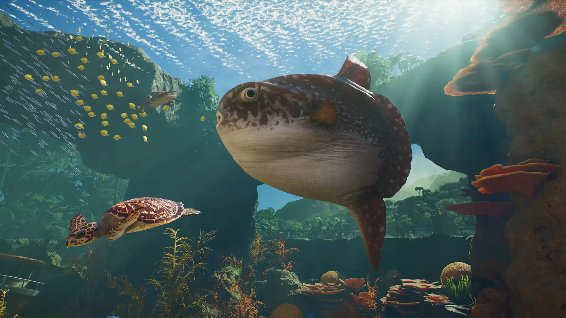 This week in PC games: play a human-eating Katamari from outer space, take over a nature reserve in Planet Zoo 2, and battle Napoleonic body horror in Valor Mortis