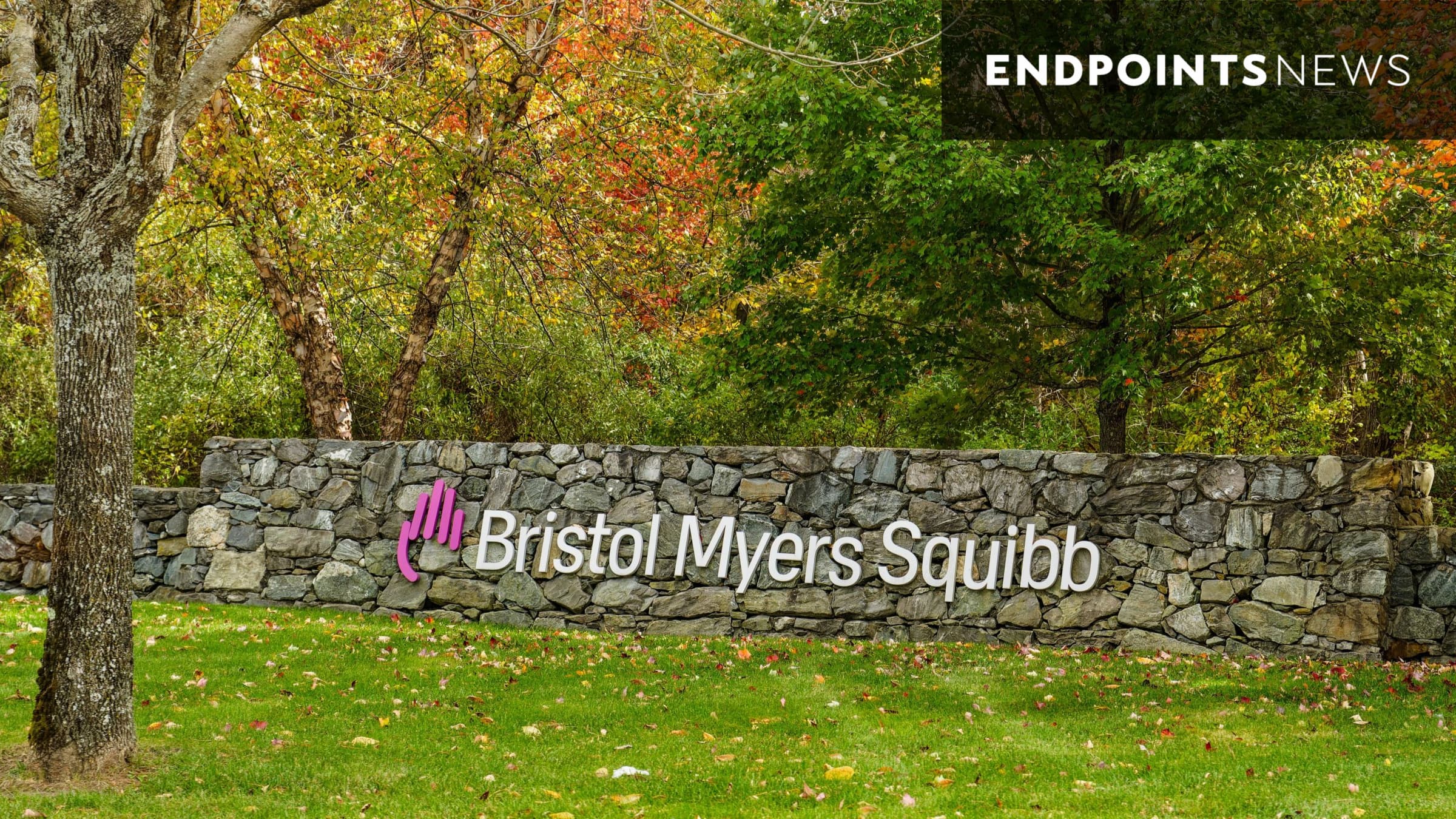 Bristol Myers reveals a pair of Phase 3 wins for fibrosis, RayzeBio drugs