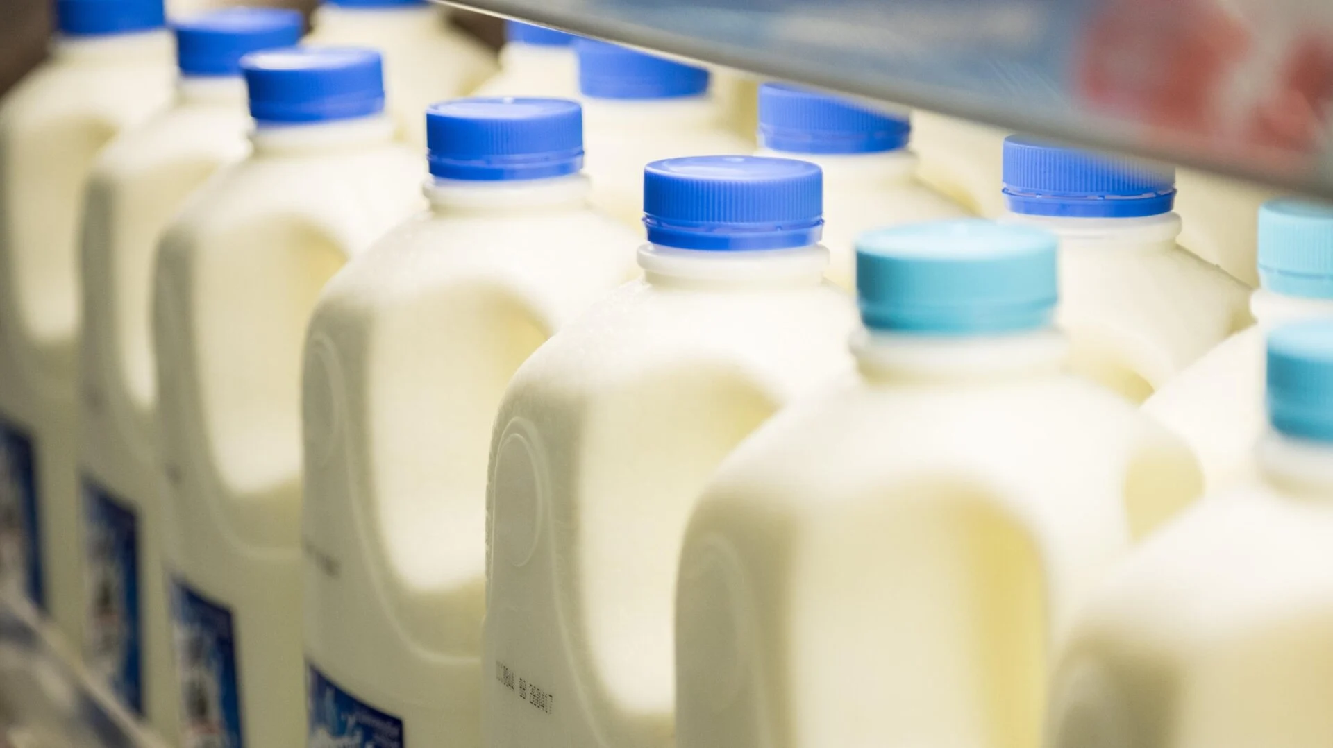 Microsoft President Says Milk and Washing Machines Face More Safety Regulations Than AI