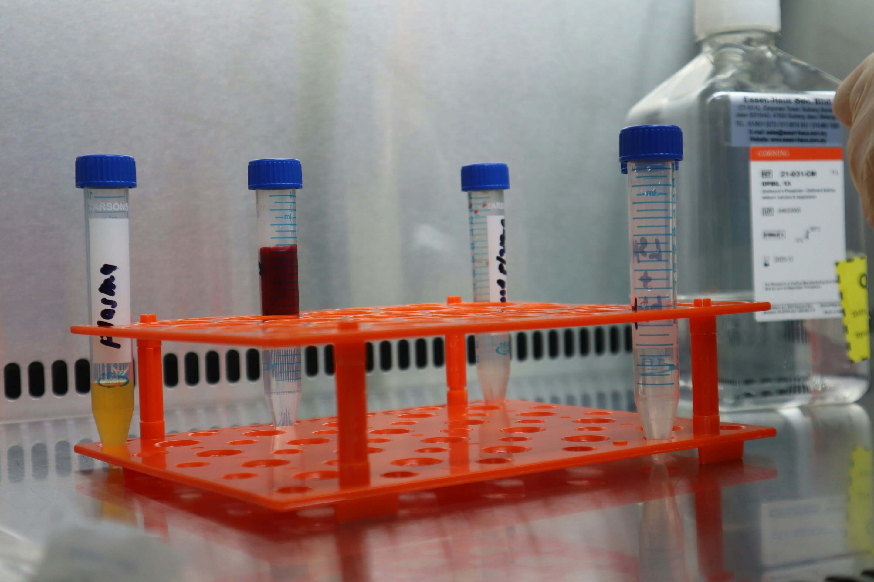 I teach doctors how to interpret test results—and the labels 'normal' and 'abnormal' often hide what matters most