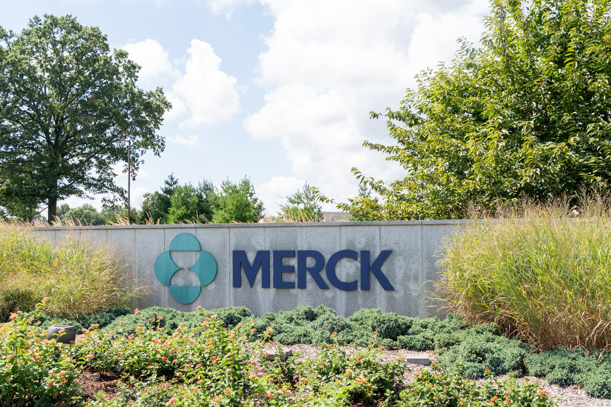 Merck reports mixed data for Lucentis competitor in diabetic macular edema
