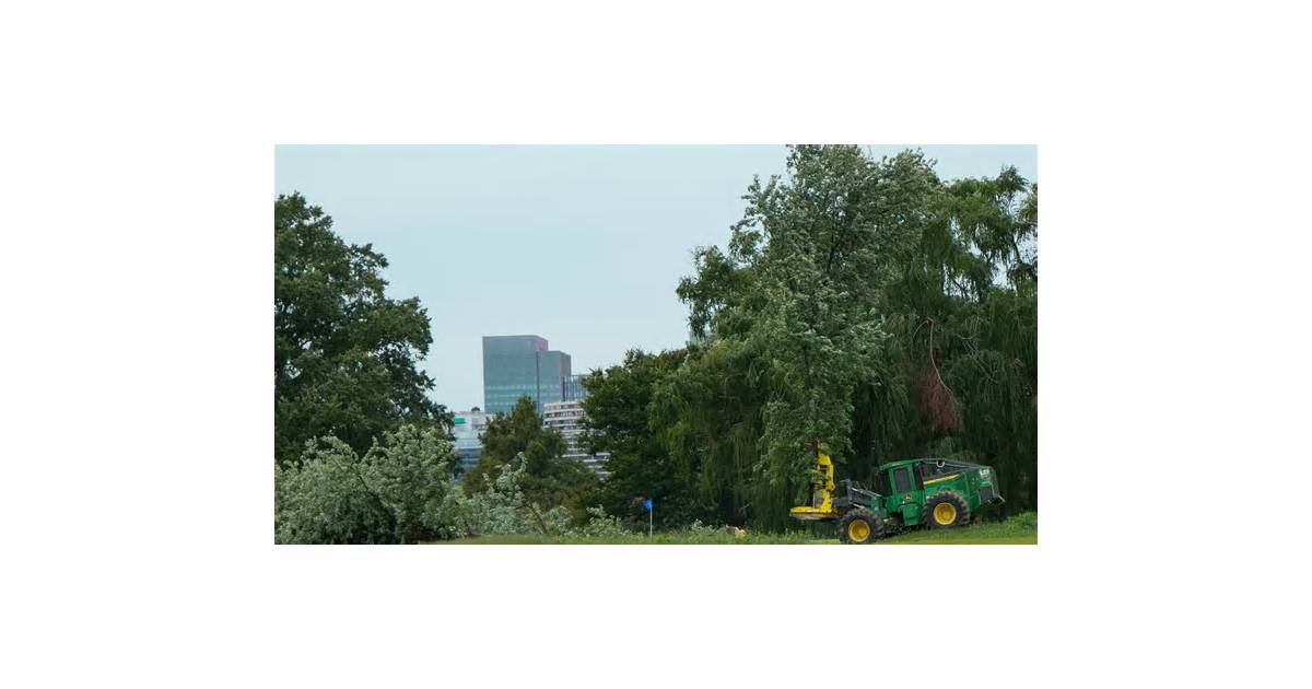 Judge blasts Trump's DOJ over 'inexcusable' tree removal at DC golf course